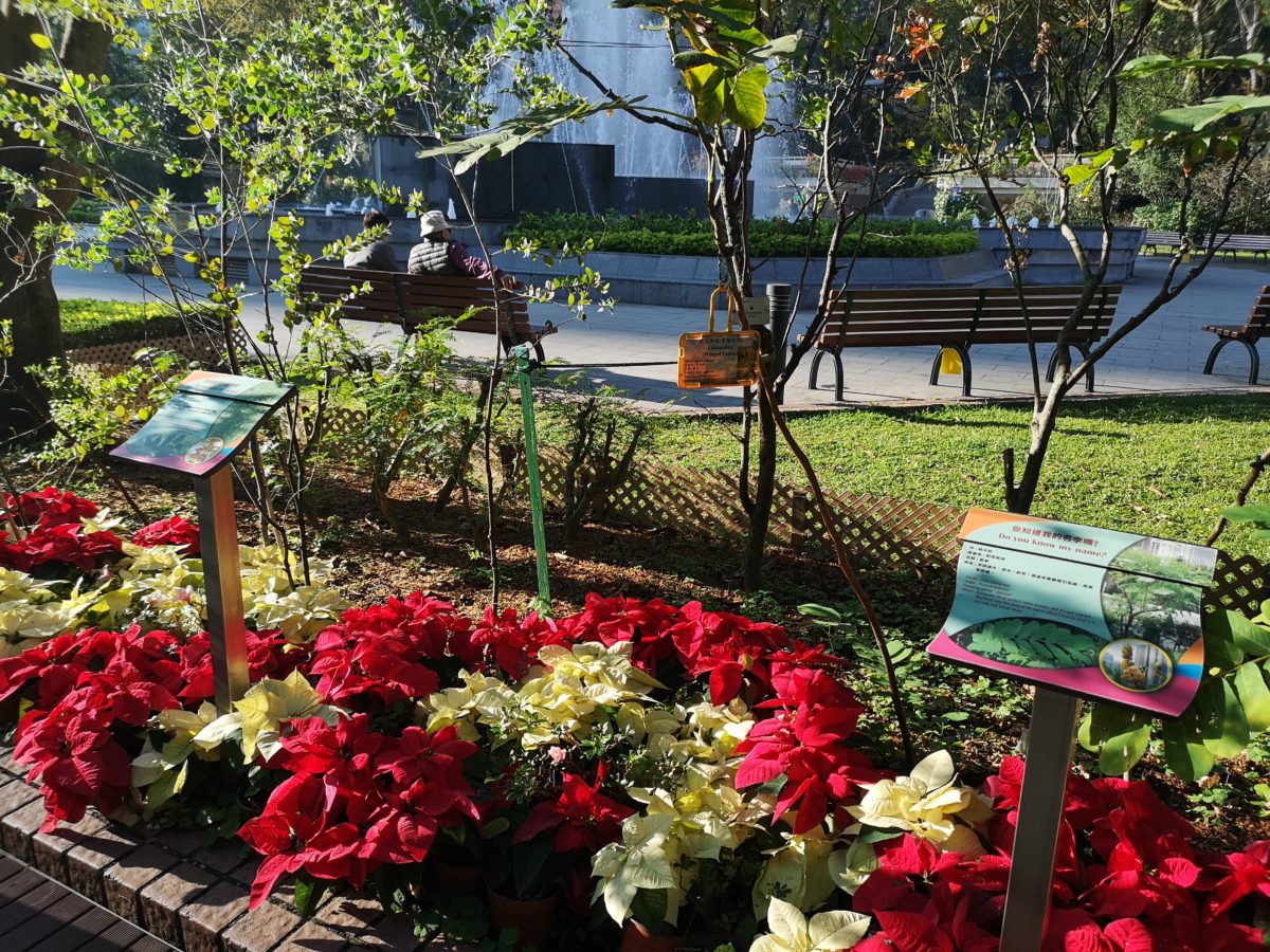 Botanical gardens and Hong Kong park