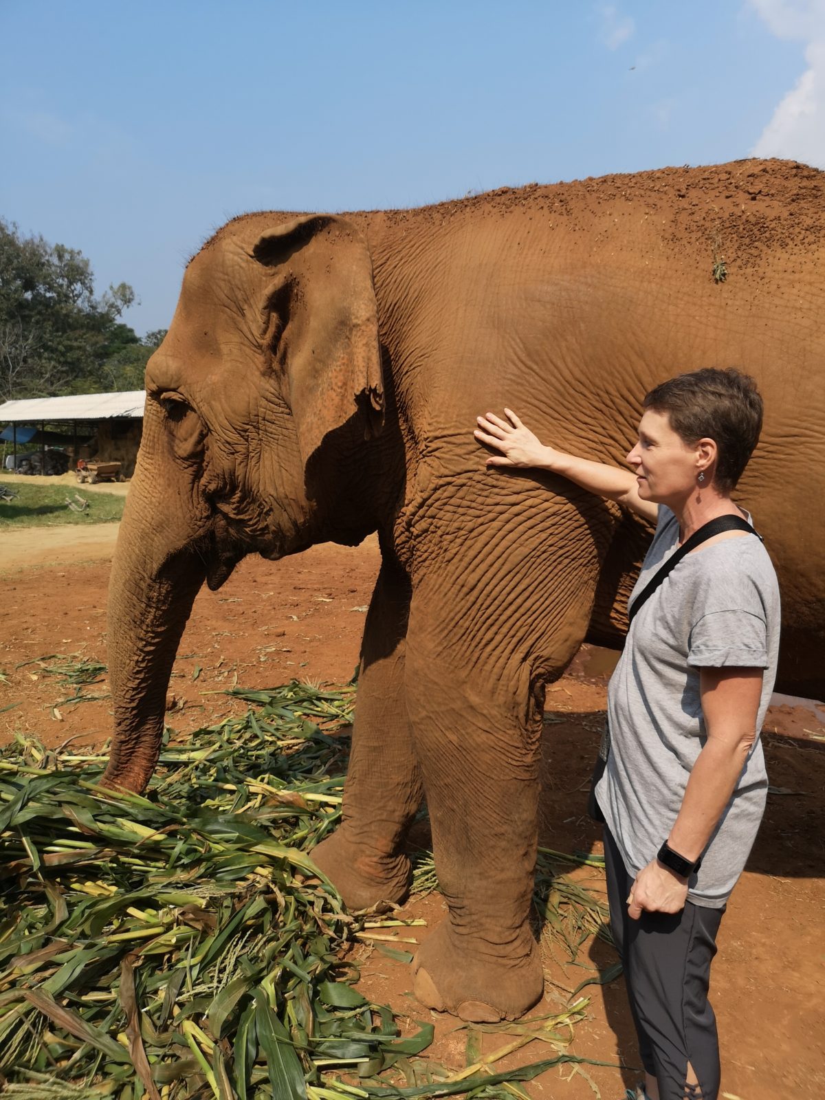 Elephant sanctuary day 1