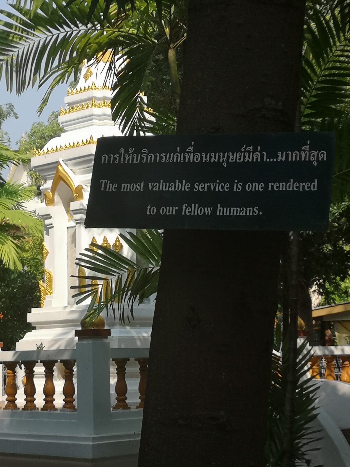 Chiang Mai walkabout