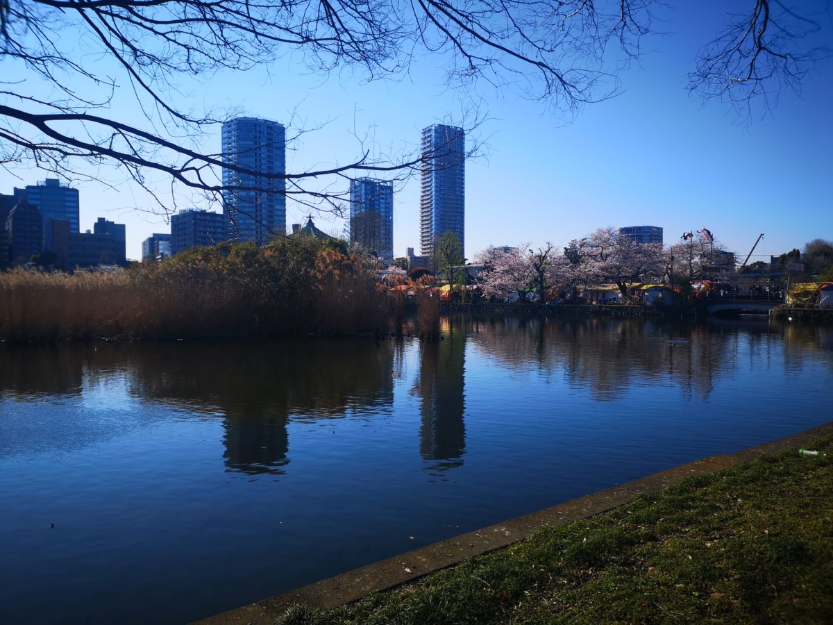Yanaka Ginza and Ueno Park