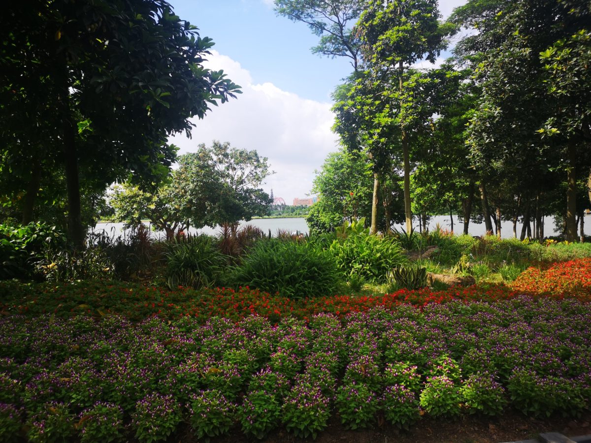 Haizu Haizu National Wetland Park – HurricaneMaine